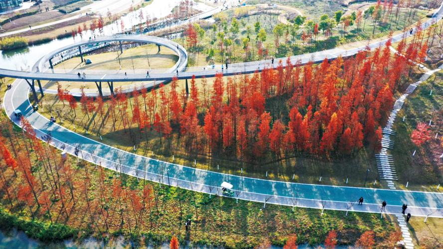 石狮:冬日湿地公园色彩斑斓如画卷