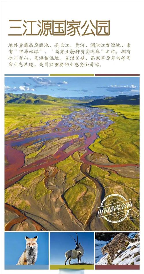 黑龙江三江国家级自然保护区打造跨国生态长廊 保护生物多样性