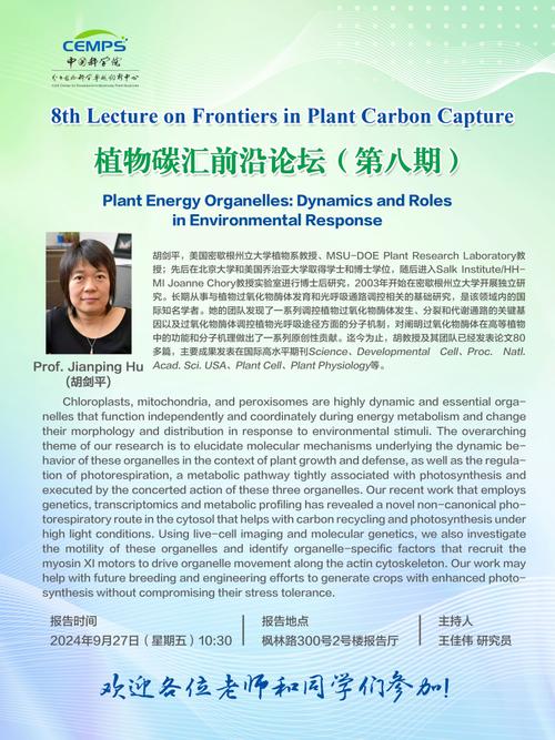 有助增加植物碳汇 中国科研人员揭开叶绿体“转录奥秘”