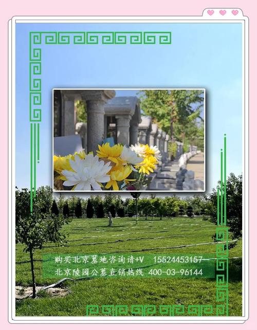 漳州积极推广新型生态殡葬模式：让逝者有所安 为后代留青山