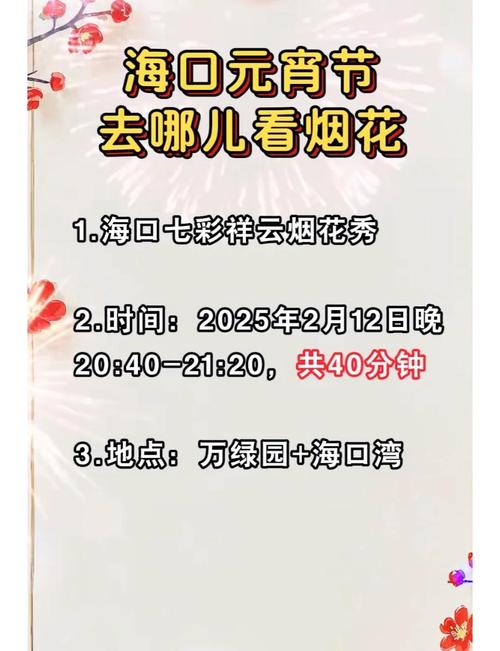 请观看烟花秀市民群众注意 海口公安交警发布元宵出行问答提示