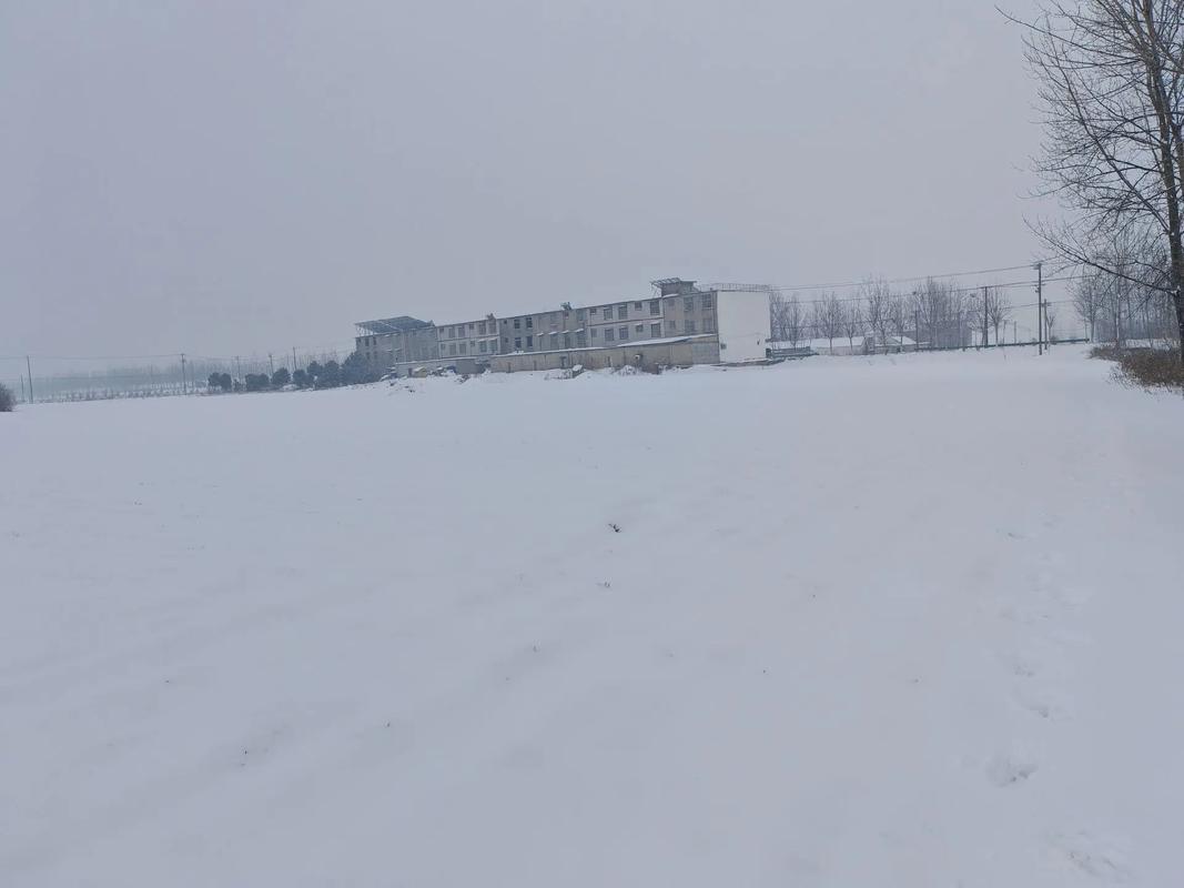 阜阳下雪了