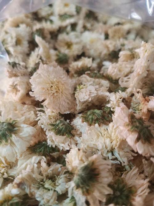 (寻味中华丨饮食)黄山贡菊:高山傲霜枝 入饮润心田