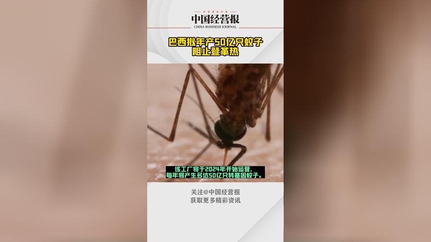 生物手段应对登革热 记者探访巴西“蚊子工厂”