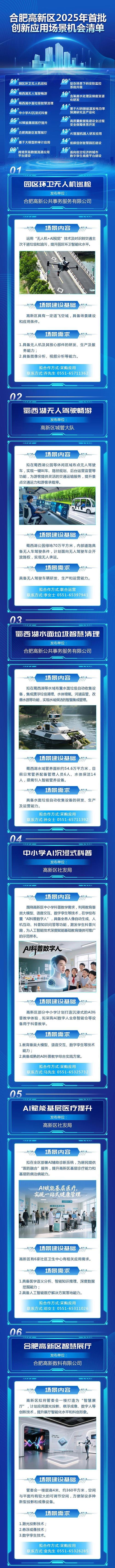 安徽发布首批数字政府大模型场景应用清单
