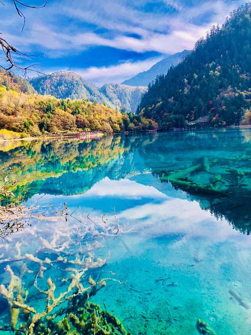 景区智慧化 九寨沟旅游更方便