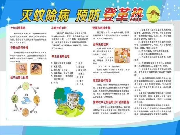 登革热高发季,他们为何主动放飞蚊子?