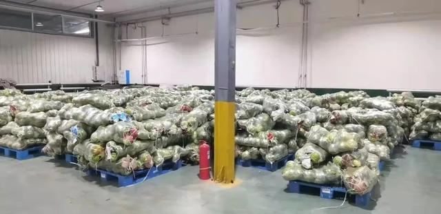 海南全省储备蔬菜万余吨 可保障4天以上需求