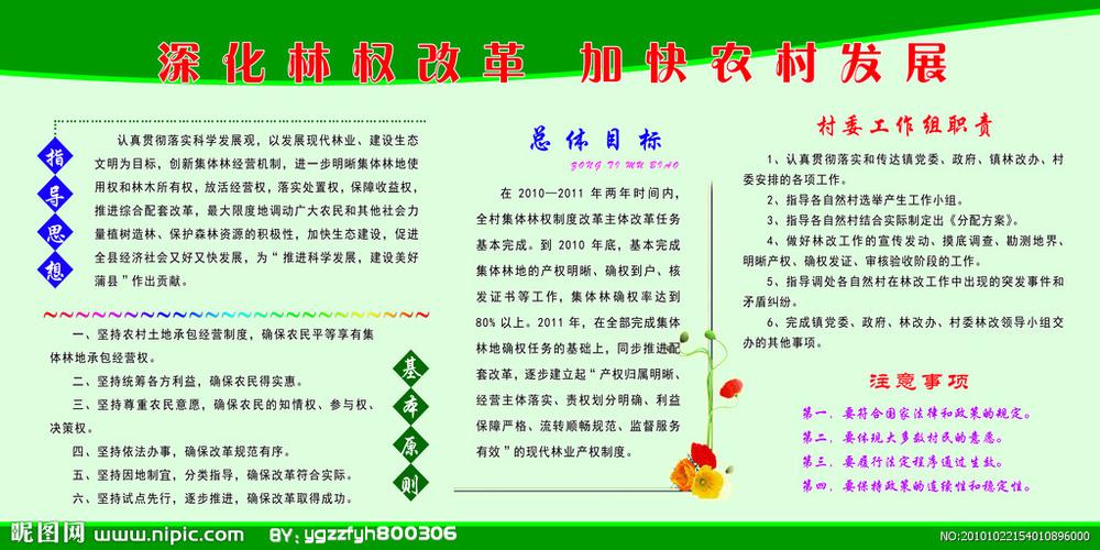 广东再发总林长令:全面深化集体林权制度改革